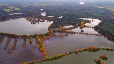 Fauna Třeboňské pánve