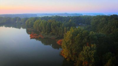 Biodiverzita a ekosystémové služby