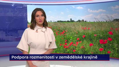 Biodiverzita vs. zemědělci