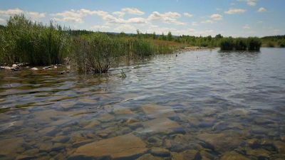 Jezero Medard: Zrekultivovaný hnědouhelný důl