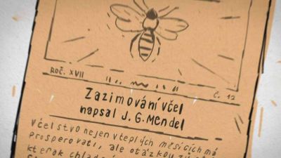 Tajemství pana M.: Knihovna