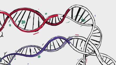 Tajemství pana M.: Zahrada