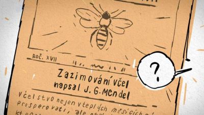 Tajemství pana M.: Pan M.