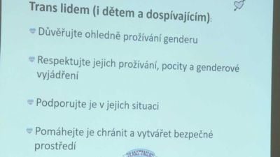 Queer: Trans-formy