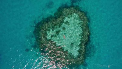 Velký bariérový útes