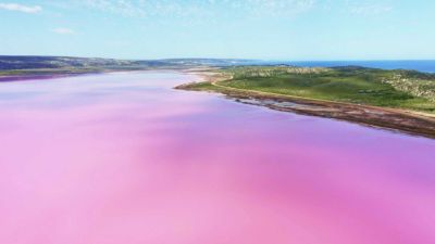 Austrálie: Růžové jezero Hutt Lagoon