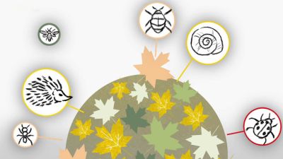 Skočdopolovi: Inspirace minulostí