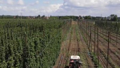 Dědictví UNESCO: Žatec a krajina žateckého chmele