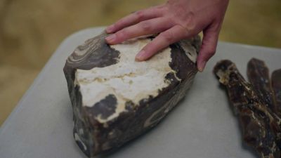 Pravěké děti a jejich rodiče: Učení nápodobou