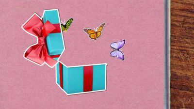 Proč jsou motýli tak barevní?