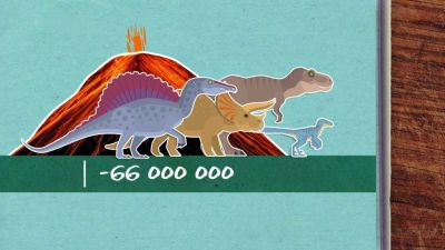 Lidé a dinosauři se nikdy nemohli potkat!