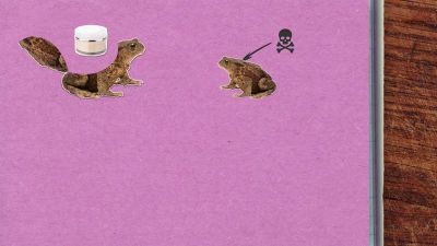 Je pravda, že žáby a ropuchy přenáší bradavice?