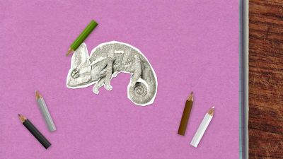 Je pravda, že chameleoni mění barvu kvůli maskování?