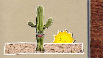 Proč mají kaktusy ostny?