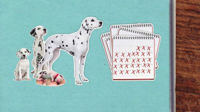 Kde se berou dalmatinní skvrny?