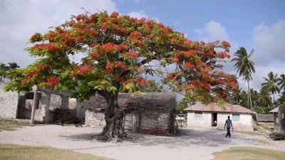 Zanzibar