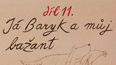 Já, Baryk a můj bažant