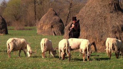 Rumunsko: Tajuplné Karpaty na jaře