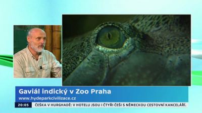 O gaviálech indických v pražské ZOO
