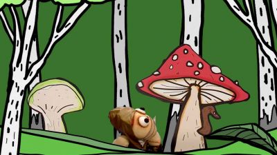 Proč rostou houby v lese?