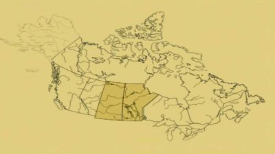 Kanada: Prérijní provincie Saskatchewan a Manitoba