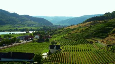 Rakousko: Návštěva vinařství ve Wachau