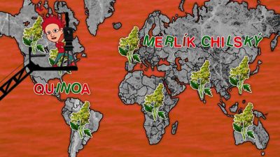 Quinoa: Strava nejen pro meziplanetární lety