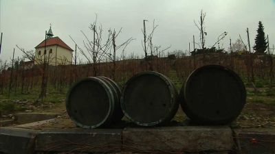 Historie vinařství v Praze