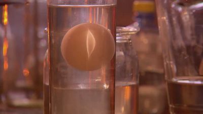 Pokus: Hustota vajíčka