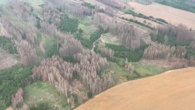 Lesy ČR: Krajina zasažená kůrovcem